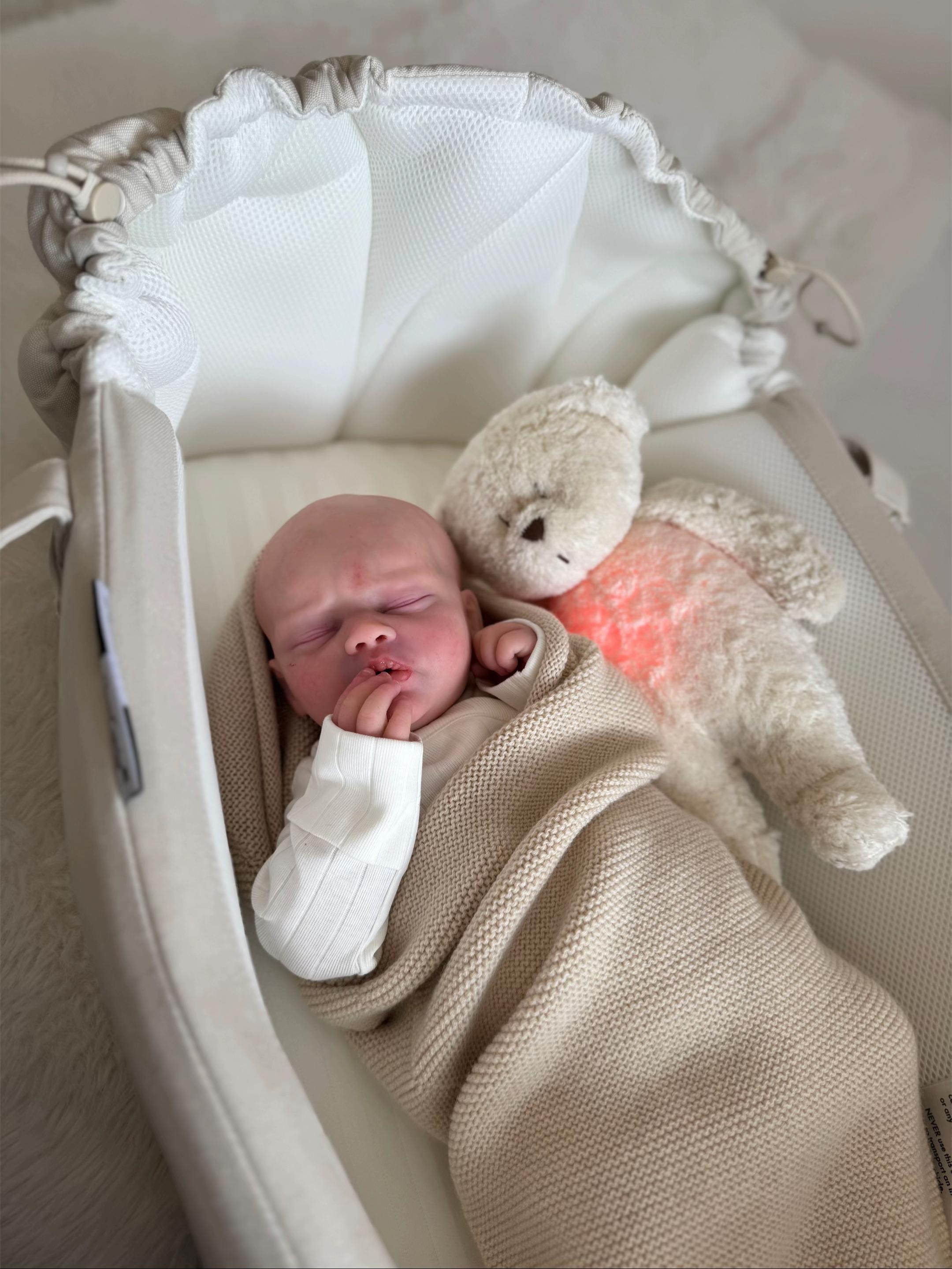Baby Luca, an 18.4-inch full body silicone baby boy reborn doll with a bald head, sleeping peacefully snuggled in a tan knit swaddle blanket next to a plush teddy bear companion by Reborn Heaven.