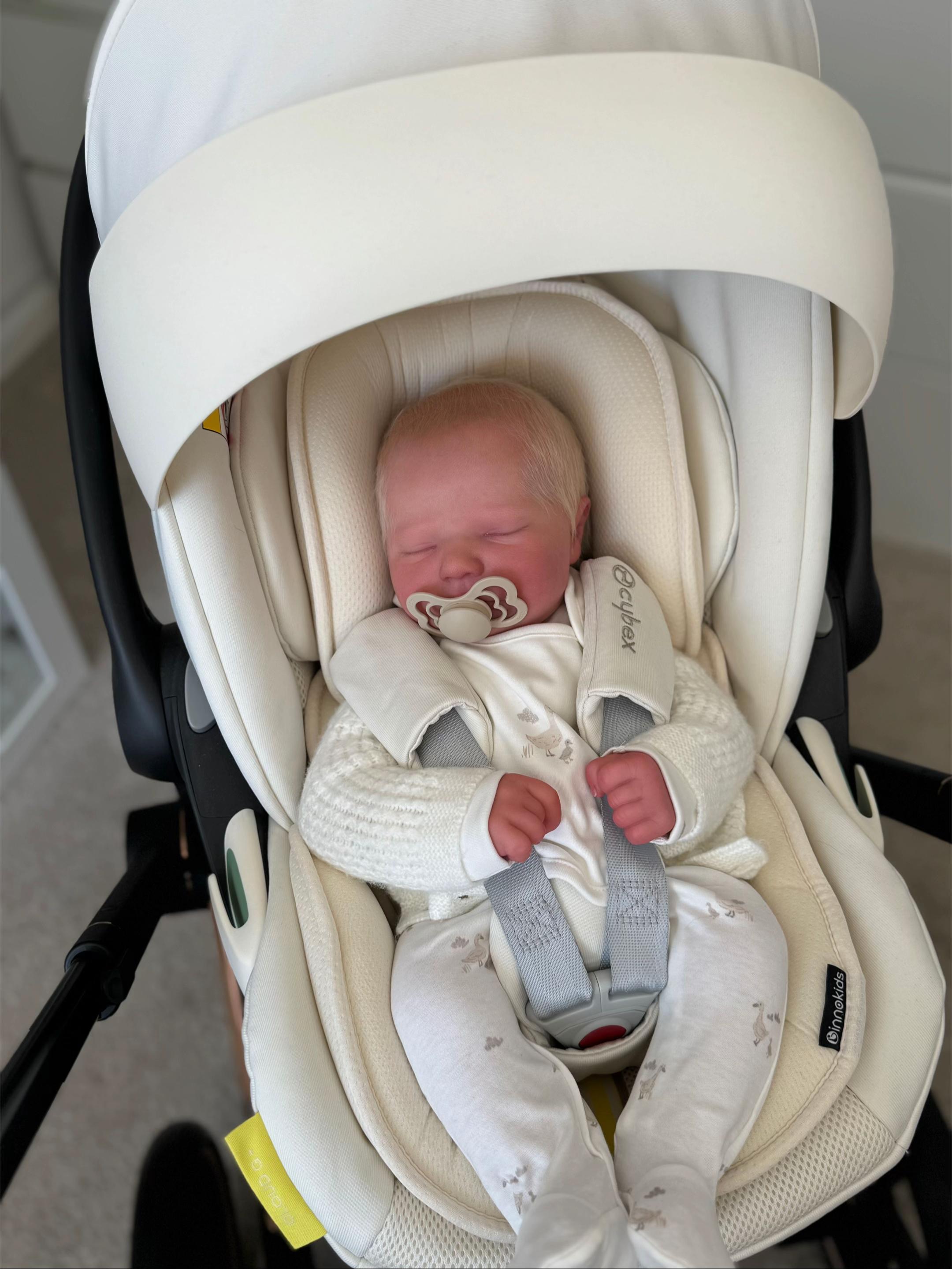 Baby Teddy