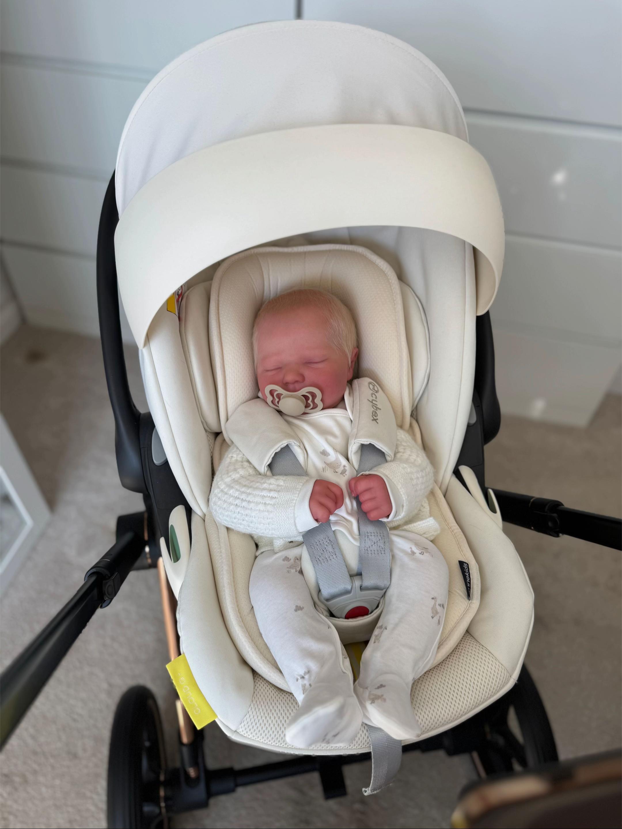 Baby Teddy