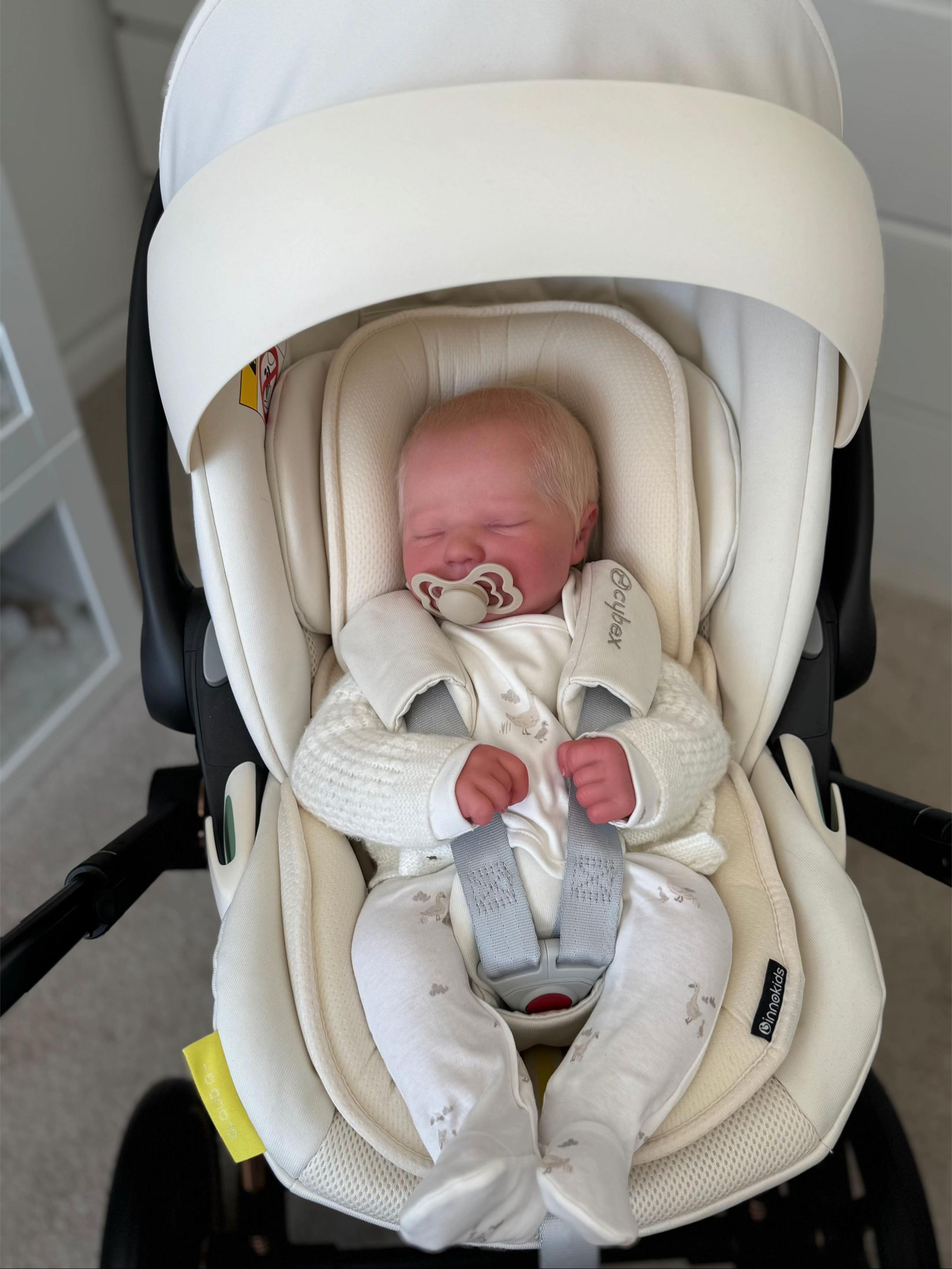 Baby Teddy